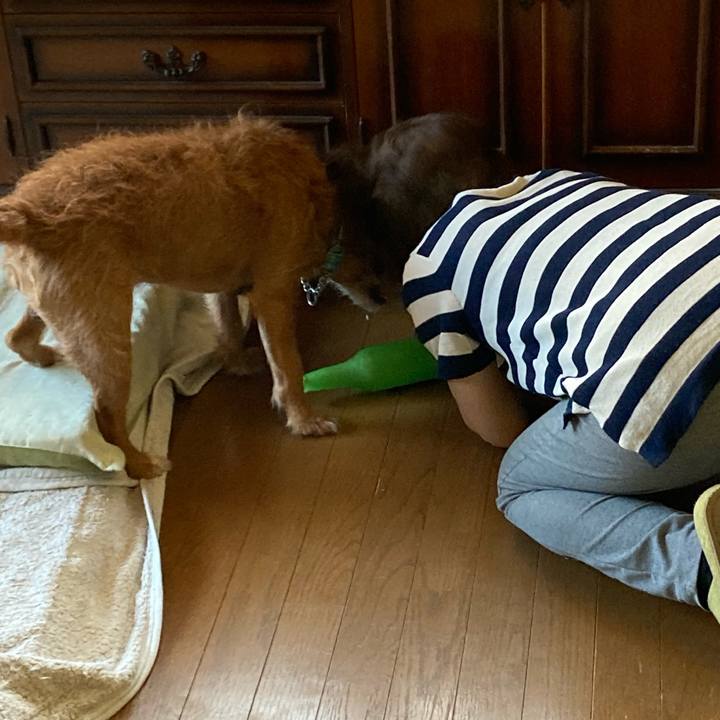 B8e45c3c 5306 438f 8770 e518e8aab3b3 1622464449791