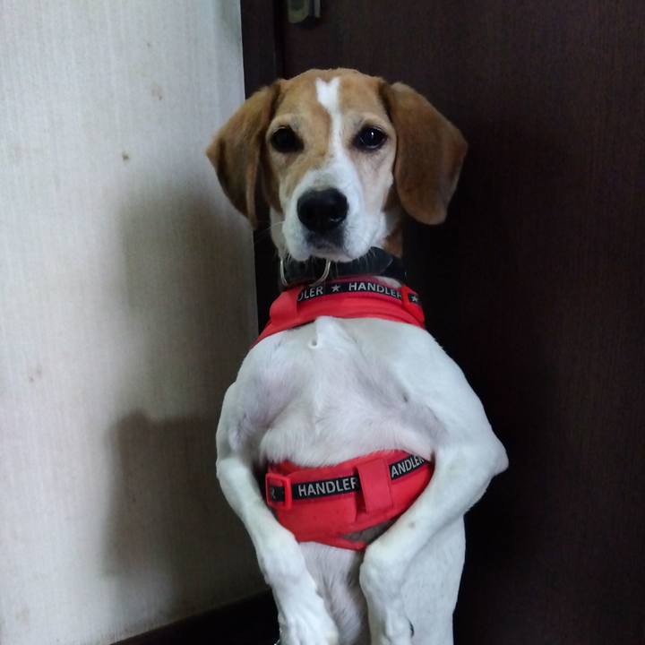 B8e47e00 fc4a 4f4e 8097 792acf5c262f 1700395054803