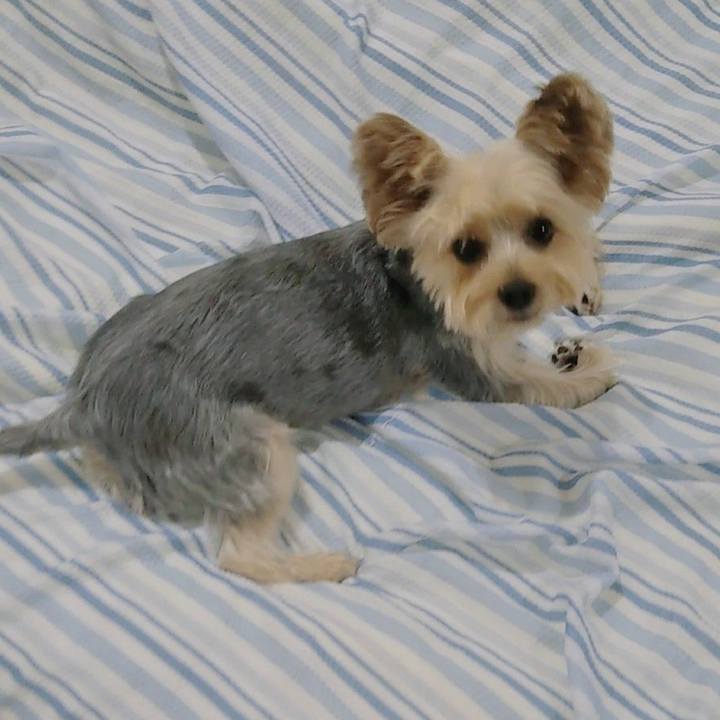 B8e4adb0 cf6b 4dc1 a1b5 426ded32b6e9 1661856600552