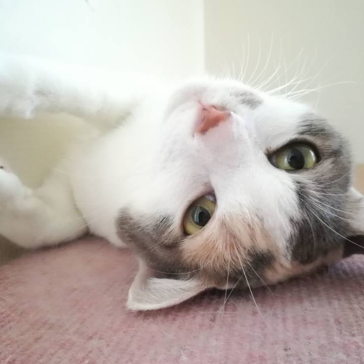 B8e4d5bf 7b8b 41b0 ad0e dcd4e8104652 1535414299582