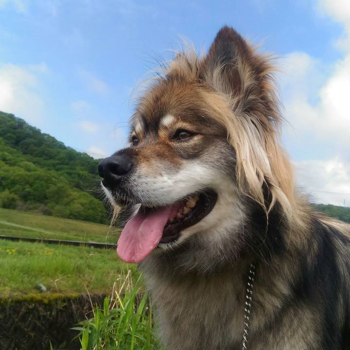 B8e4da1e 4fbd 4a1a b401 03cef5d6b952 1557128748155