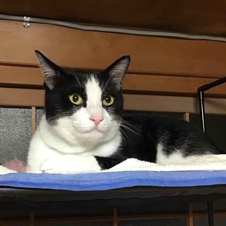 B8e4fd18 45ca 4940 83bc cc43c6398714 1695474953843