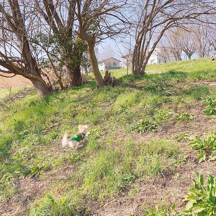 B8e511e1 5983 4600 8471 bd36001e063a 1616490013092