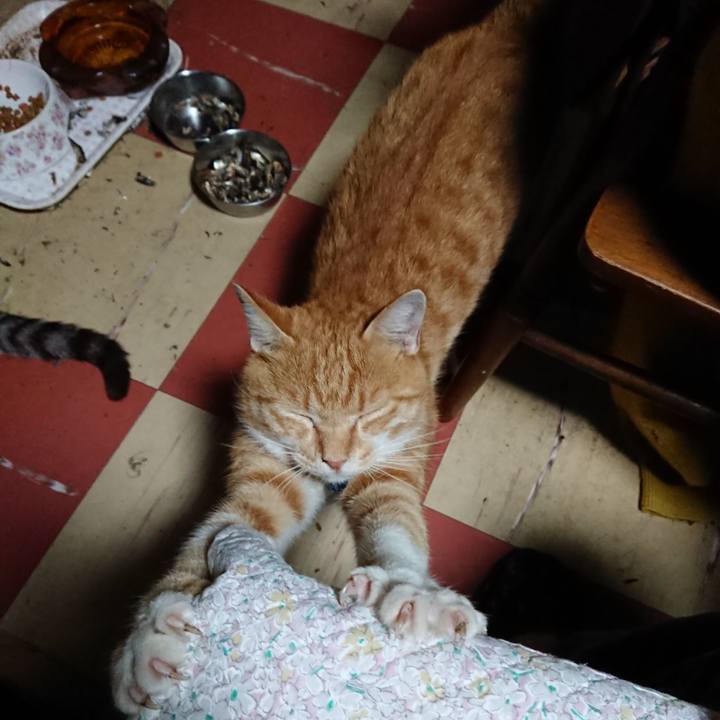 B8e52be0 2048 4392 b2a8 278e12b445b9 1567540374600