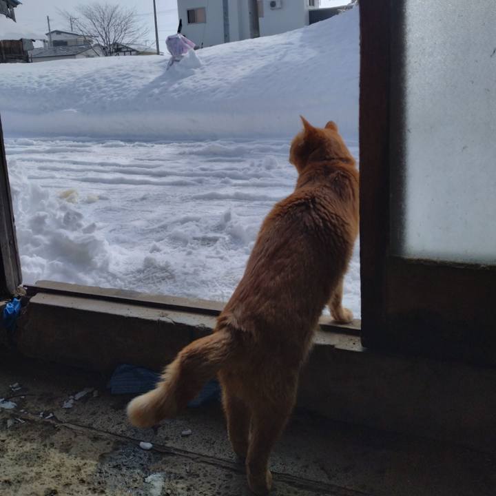 B8e53208 94a5 44fe 8e09 f6ddcf08dcda 1675047459437