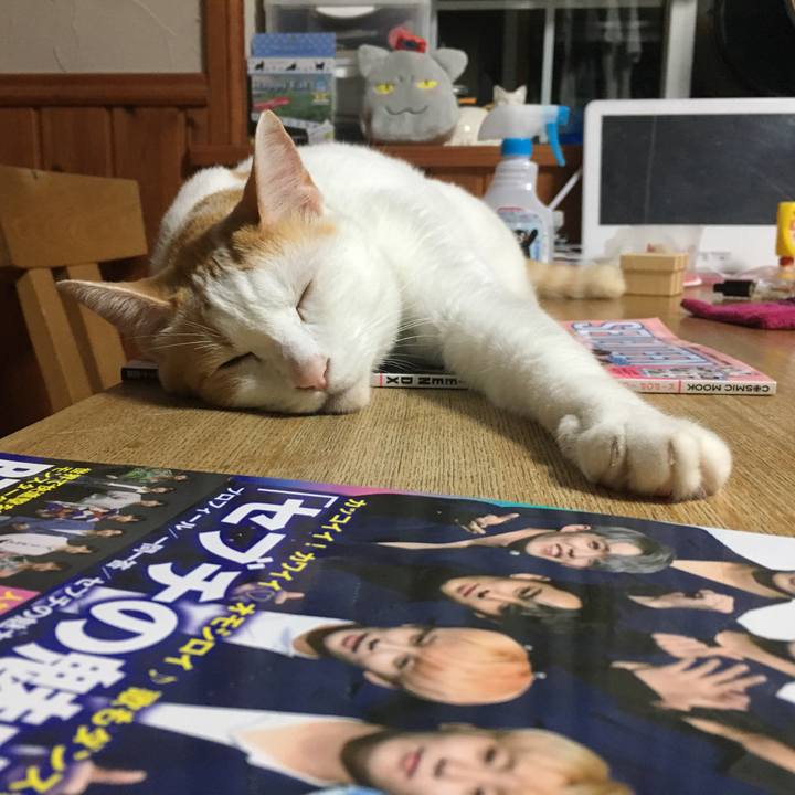 B8e54e48 5bdd 42eb 9d46 800597ee1a09 1536246738616