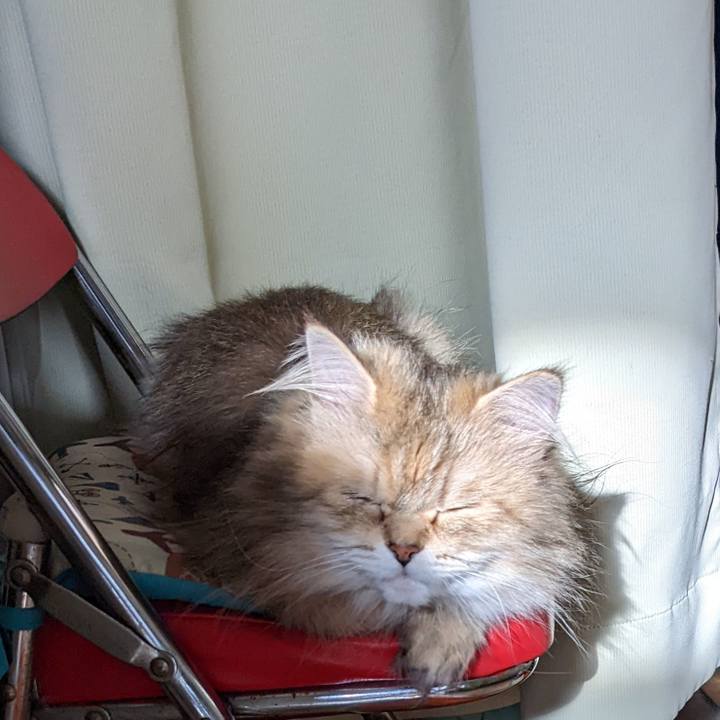 B8e59fba 7f44 4712 b8b3 33c9e0e4e9dc 1654848977334