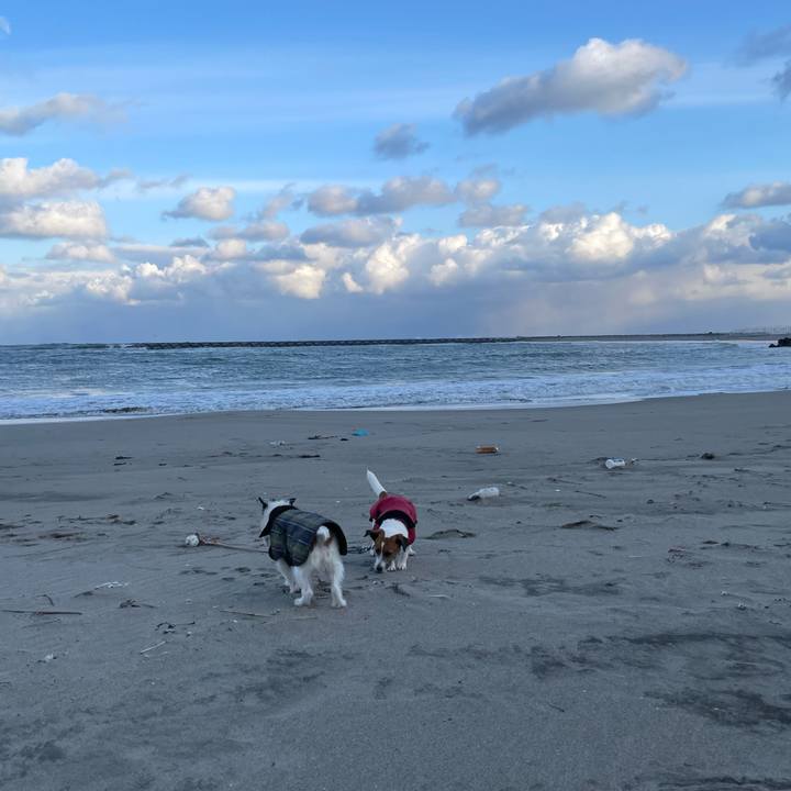 B8e5a6e5 8829 48a4 aa60 db3b13b423f4 1675384355153