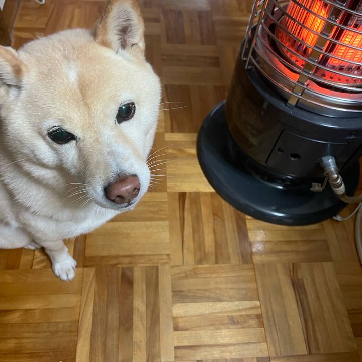 B8e5f3c6 8dc6 49e9 9753 3538b84b3271 1733956964025