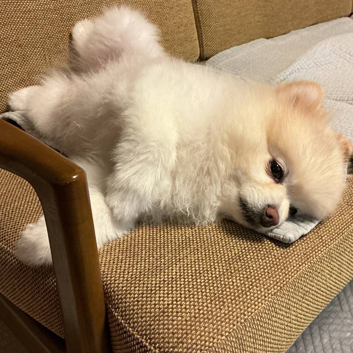 B8e65cc2 78bc 4b4a 81fa 9d3a63109055 1755174402987