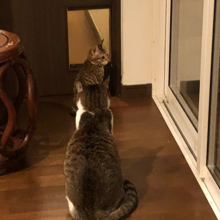 B8e6612f 086b 4cbd aac3 6c390c912df7 1542235670862