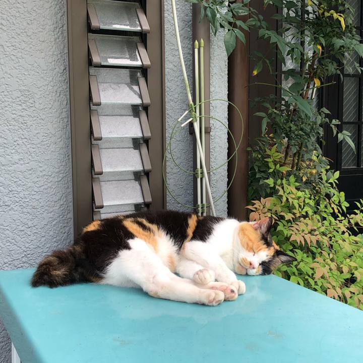 B8e68936 66d5 46ef 8ede bae2e8f36438 1626243437698