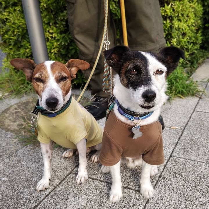 B8e68a24 ec9b 453a bf12 7bd6399c87e6 1725573792260