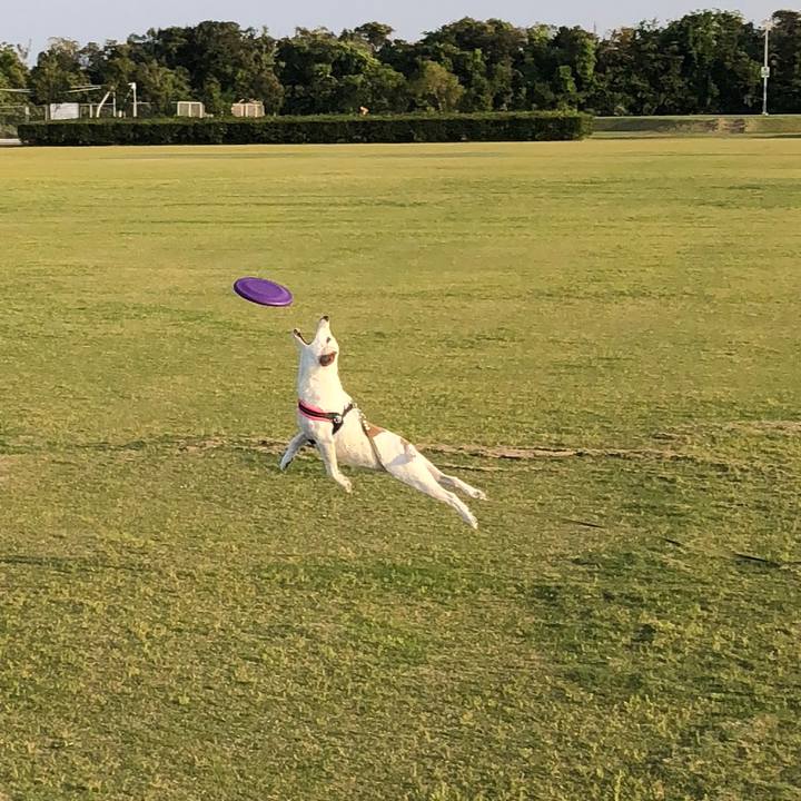 B8e6c8b1 56eb 45b7 a7f1 c1388f4b57a8 1524920792489