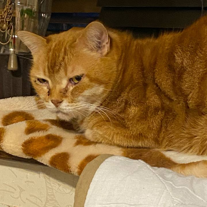 B8e6cc22 8ad1 402a b3c0 6f77c35e961a 1615886640892