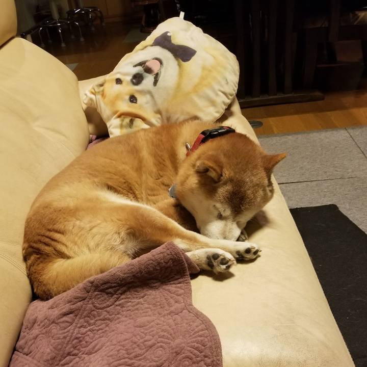 B8e6ee34 eb1f 4802 9e95 2e74ec6f4e60 1739993943510