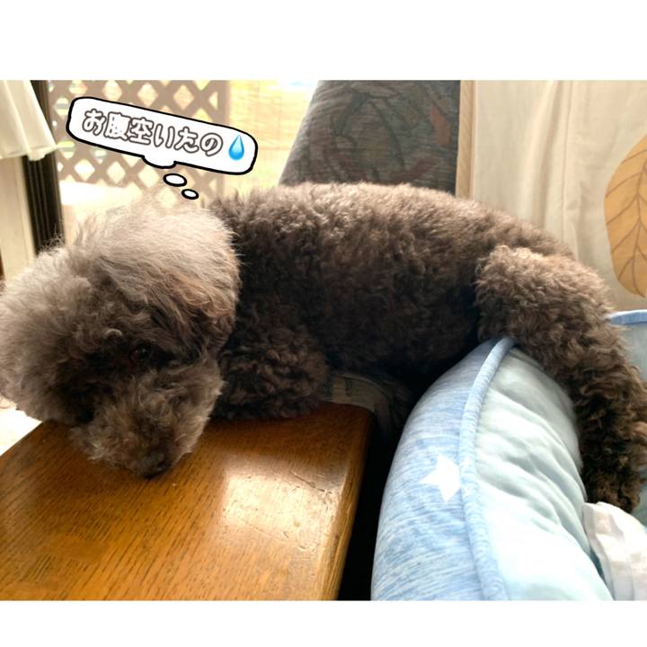 B8e6ff3b 2917 4373 9b10 3a3e5f6cd85b 1595368540217