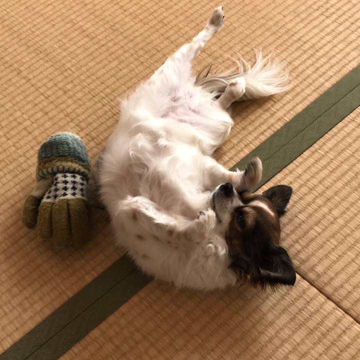 B8e7037e bf37 4779 a7af df928b2cdc34 1551507072932