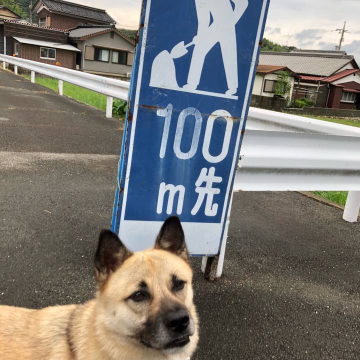 B8e72785 464c 4ee9 a006 9b36abd4e192 1565958490843