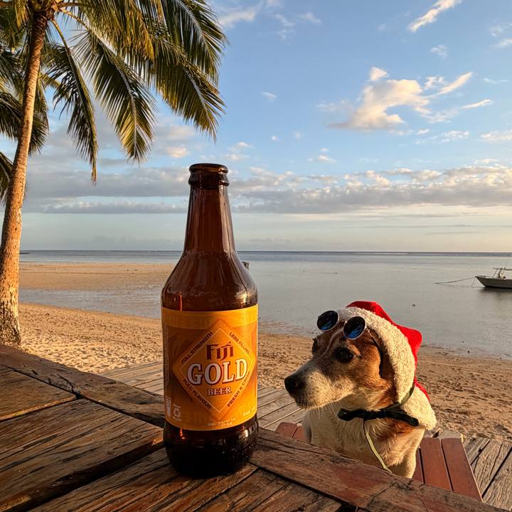 B8e72cca 9f50 4c59 9a74 891312873ead 1766654446276