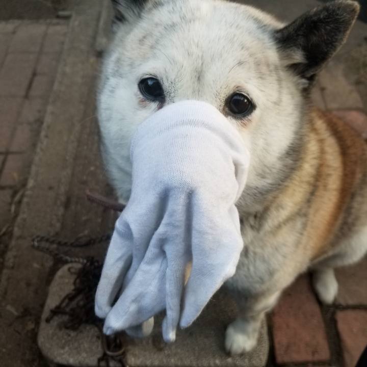 B8e74ce3 d0c2 4aaf a049 fdf7db1fc460 1758743977846