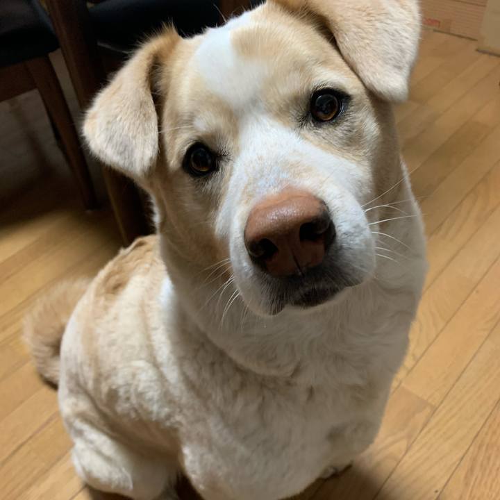 B8e784e8 ac46 46b9 a2c2 a47631d82727 1583811480417