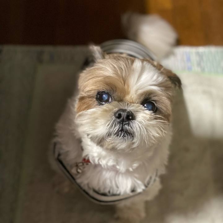 B8e79ec7 d841 41ce 91a2 5fa7bad83833 1637663783196