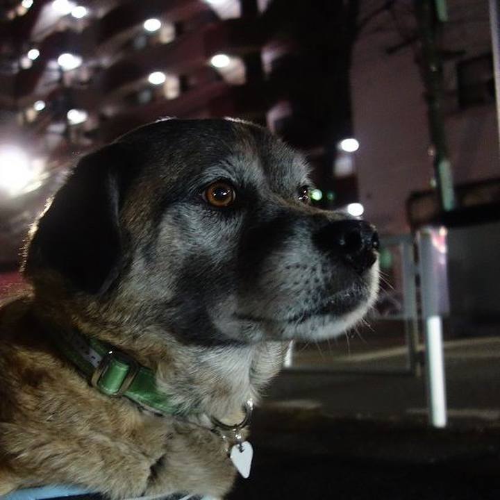 B8e7ba9b 42c2 4f42 8a57 b83313d5bcdb 1518952394909