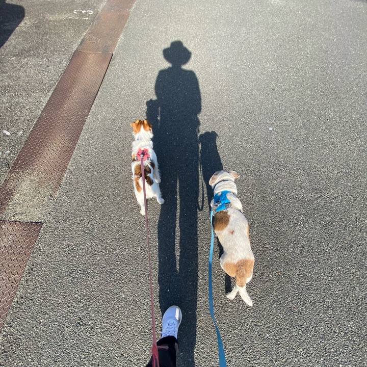 B8e86eb9 f7bc 4568 b01a 520cfe34dd00 1714778350238