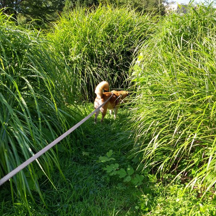 B8e88b07 8acb 44be abd2 678a753b0008 1564961847378