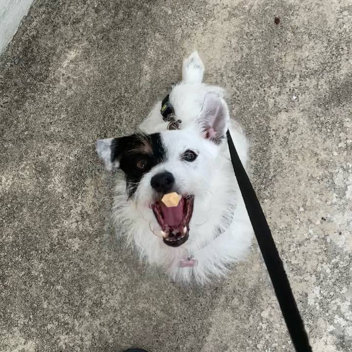 B8e88e86 1542 4a60 960e 2b8f6dcad8b1 1657754641151