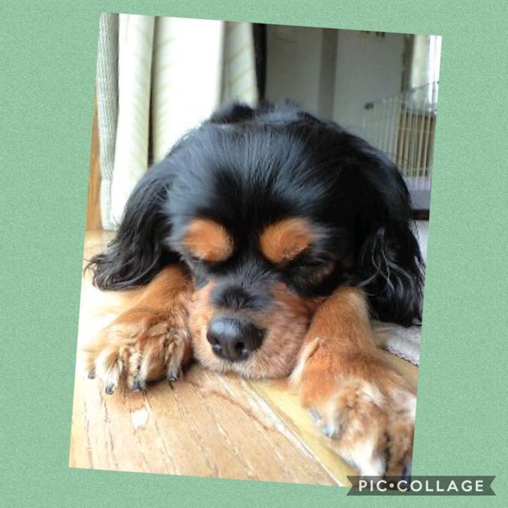 B8e8a1df df5a 416f 8272 227758c23e72 1541919430887