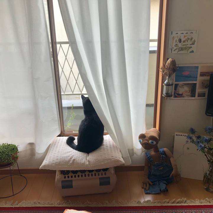 B8e8ea71 700c 445b bac6 d546d538f372 1556338721807