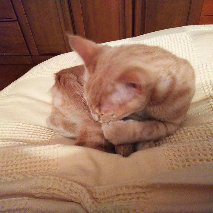 B8e8ef3a fef1 4ec8 ac69 acd7a828c55a 1544016848029