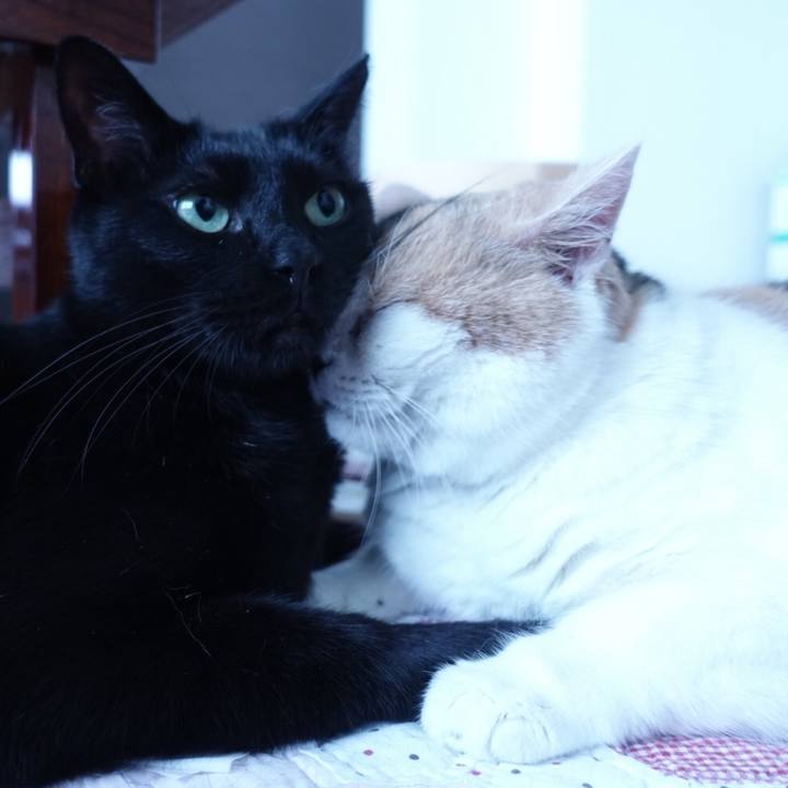 B8e8f577 f870 4e53 84bf 3d26ab477695 1537857284931