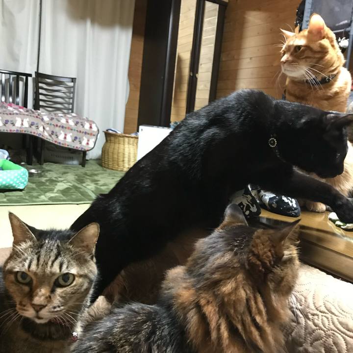 B8e90acb 8df4 4a31 920c 9c62bf31ee03 1591054405153