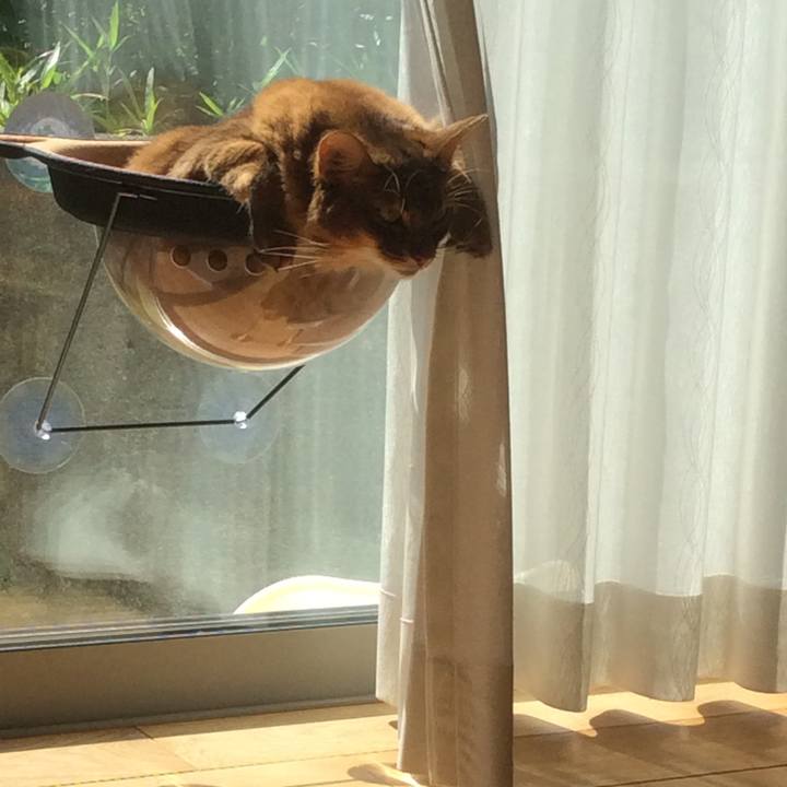 B8e90cf6 bafa 47c7 96b6 4972c367b72f 1633400349642