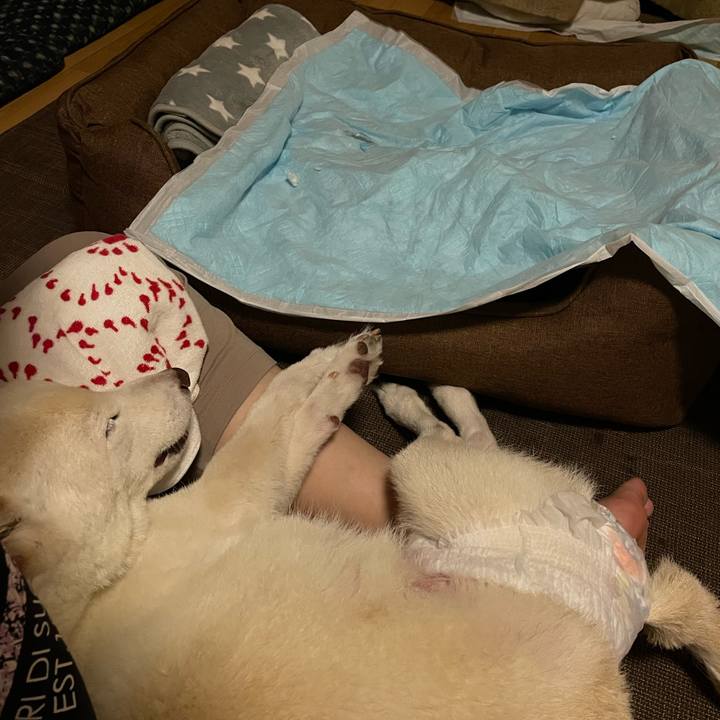 B8e9179f 545e 4719 81eb dd634dd902fa 1666637490385