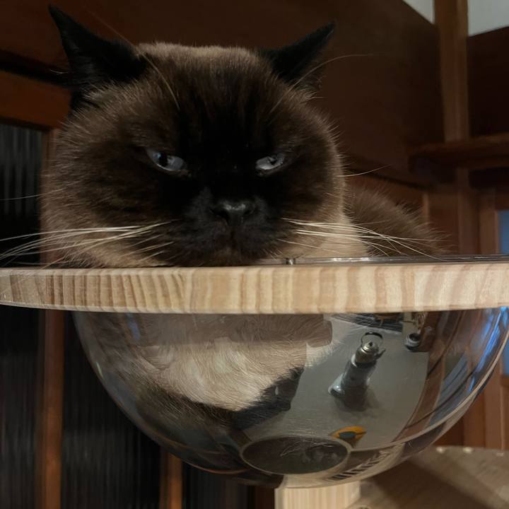 B8e9ae18 8aa4 40ef afc2 481076cffd77 1705579062003