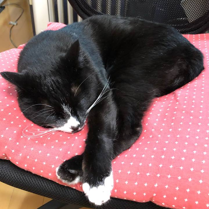 B8e9f81f deec 4852 87c7 63d4bdfadcd8 1580874331808