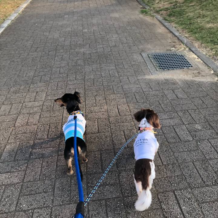 B8ea0cf3 f996 4045 b84d 85c90deb90e5 1565300553303