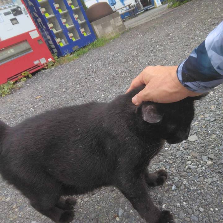 B8ea13f7 3965 4075 854e dbf7668d31fc 1724381309240