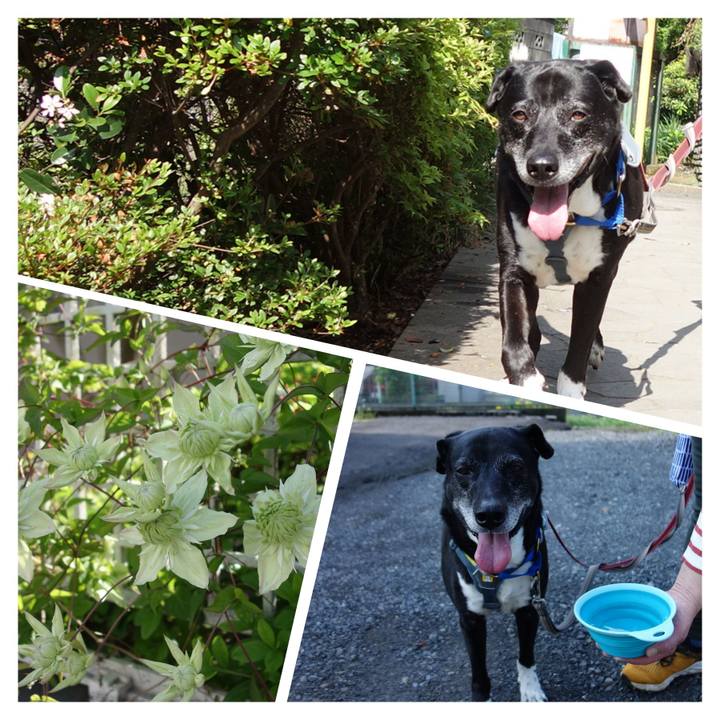 B8ea65dc 940c 4c96 9e4e ed41d9ec4eab 1747097127243