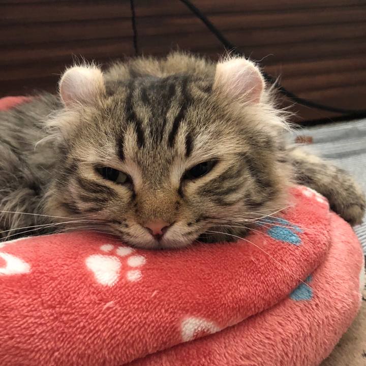 B8ea69e6 eb40 419c a87f 9b1a0da91e22 1530336759201