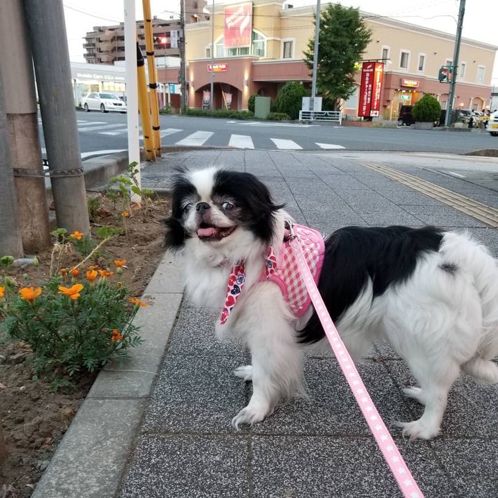 B8ea9534 89fc 4e84 a5ad 56df46b6a932 1531659779387