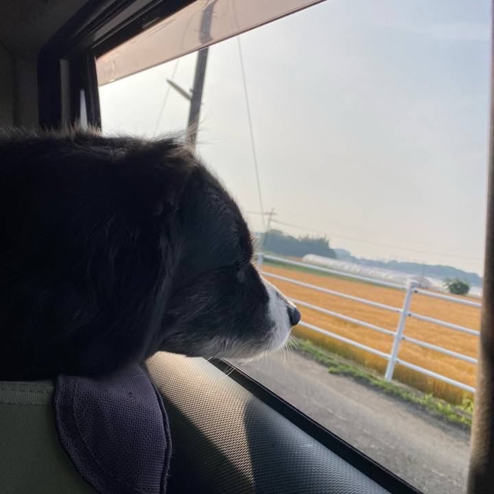 B8eaafe3 e20a 4313 8e3f f9d161d8309e 1684274743325