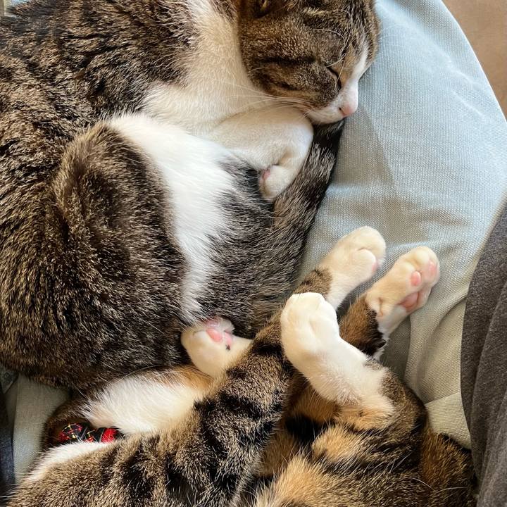 B8eae71f e6c3 4683 87a1 08ca97ce8c52 1738321778475