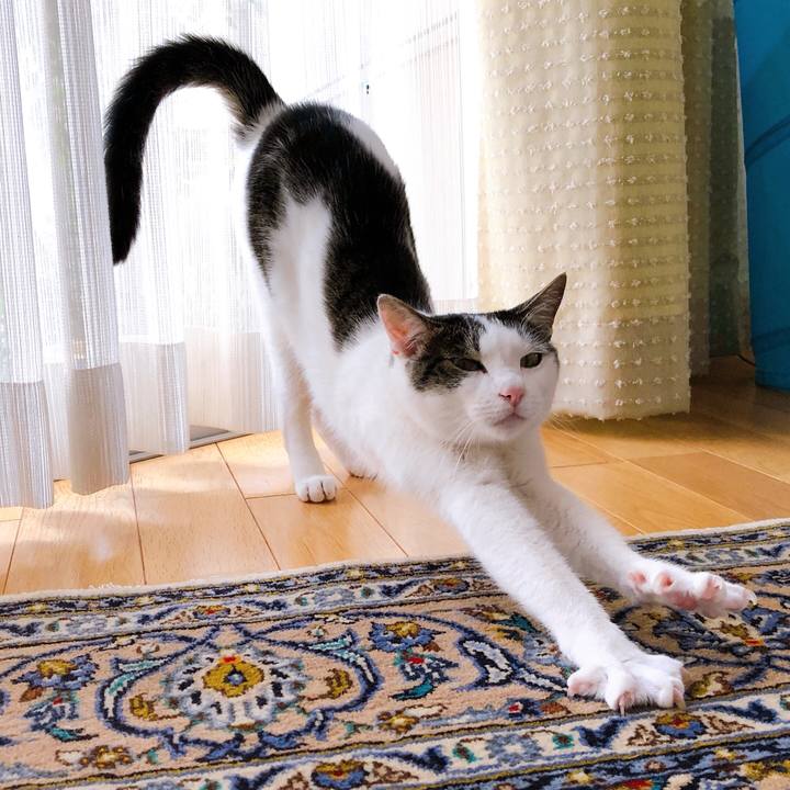 B8eb1850 2d06 4c2b 9c56 47465ae15cb9 1624266097833