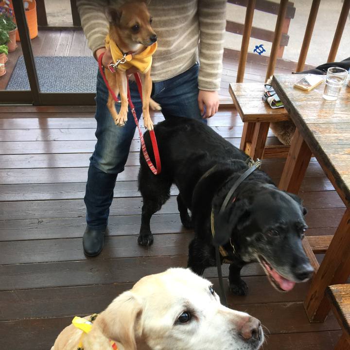 B8eb1a65 c86b 473b 9cda 89ded1be7645 1574569606942