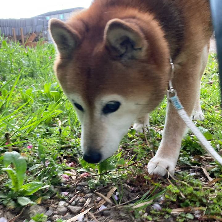 B8eb1bc2 e3f1 4b79 b7e9 9dc59387e517 1744707296584